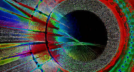 Watching the Ledger Breathe Beneath the Noise: Pi Network’s Collapse and the Anatomy of a Failed Social Contract Watching the Ledger Breathe Beneath the Noise: Pi Network’s Collapse and the Anatomy of a Failed Social Contract
