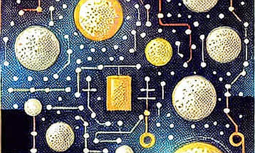 The Macro Echo Chamber: Why Crypto Is Holding Its Breath and What Happens When the Fed Speaks The Macro Echo Chamber: Why Crypto Is Holding Its Breath and What Happens When the Fed Speaks