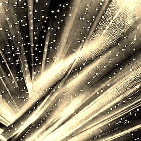 Hyperscale Data’s 51 Bitcoin: A Corporate Treasury Move That Tells Us Nothing