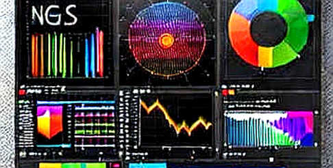 ELOL on NASDAQ: A Leveraged Box Around a Ghost Valuation ELOL on NASDAQ: A Leveraged Box Around a Ghost Valuation