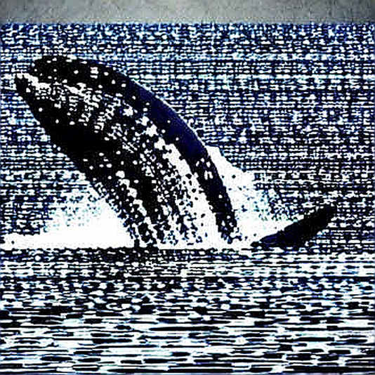 Whale Withdrawals and the Illusion of Supply Shock: A Forensic Look at Solana's 315,500 SOL Exodus Whale Withdrawals and the Illusion of Supply Shock: A Forensic Look at Solana's 315,500 SOL Exodus