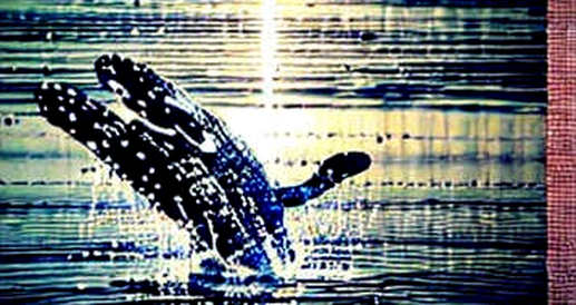 The Fed’s Silent Pause: Why Crypto’s Liquidity Tailwind is a Mirage