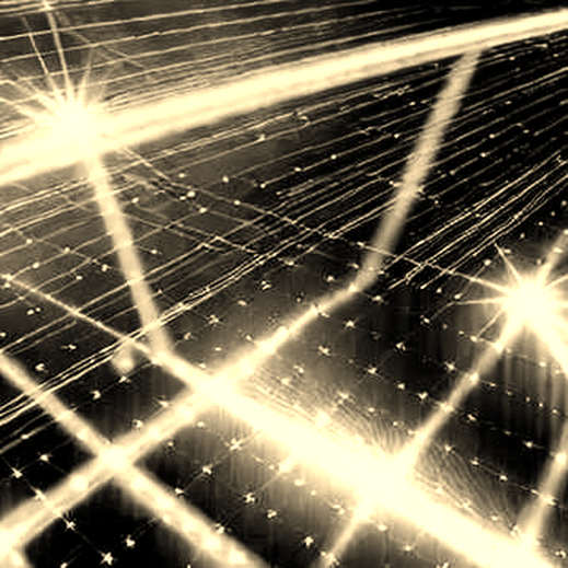 The Shytoshi-Litecoin Rumor: A Signal of Leader Fatigue in SHIB's Ecosystem
